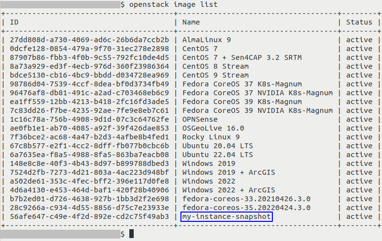 ../_images/start_vm_instance_snapshot_cli-01_creodias.png