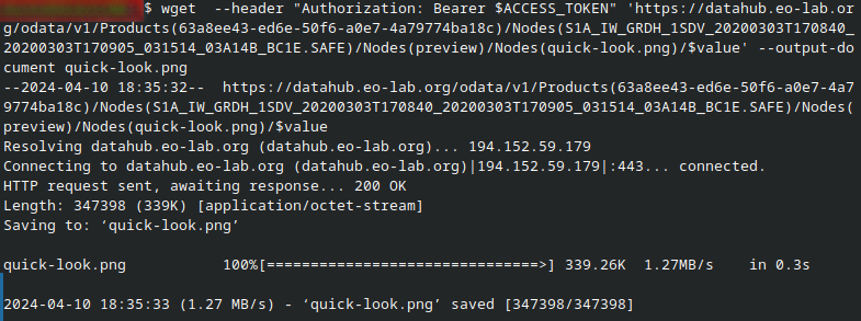 ../_images/wget_output_eo-lab.png